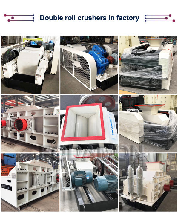 Double Roll Crusher