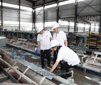 Deep processing products and production methods of graphite
