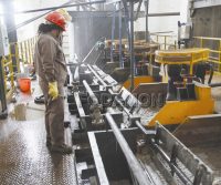 What factors affect flotation of iron minerals?